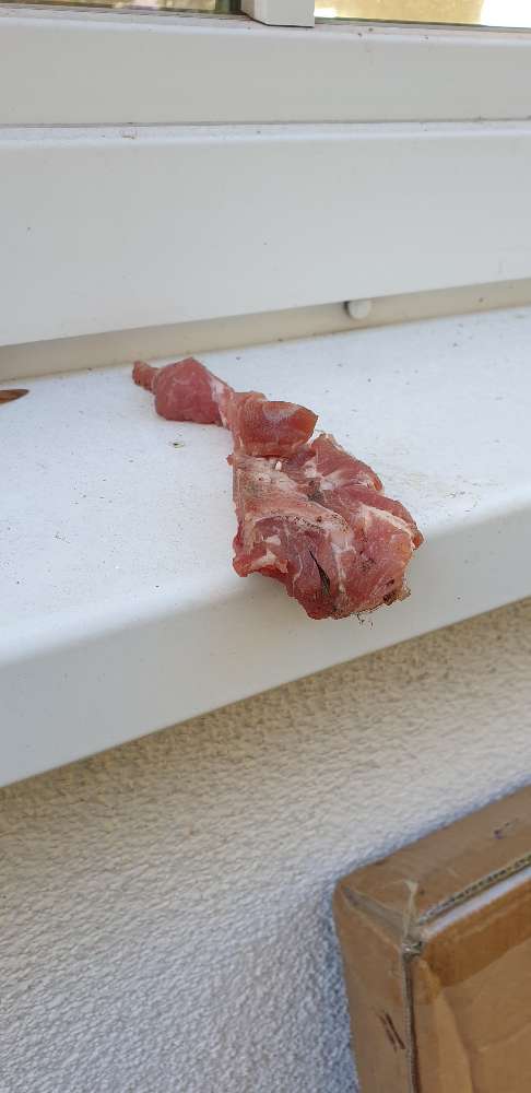 Giftköder-Fleischwurststücke, Brack 21, 21129 HH-Profilbild