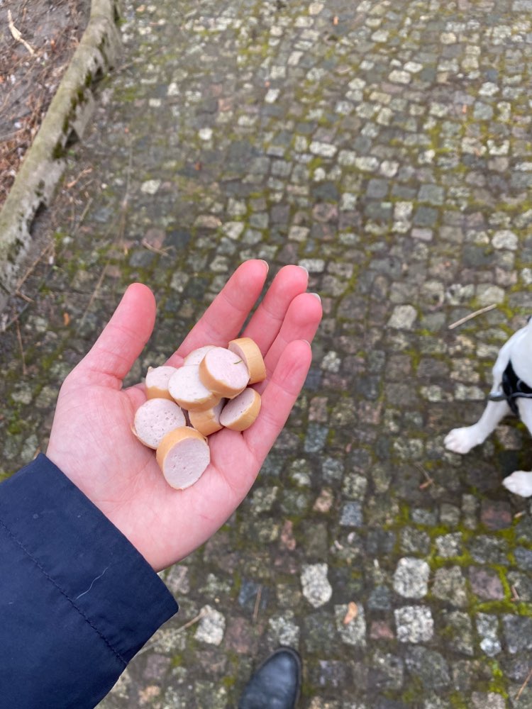 Giftköder-Wurststücken-Profilbild