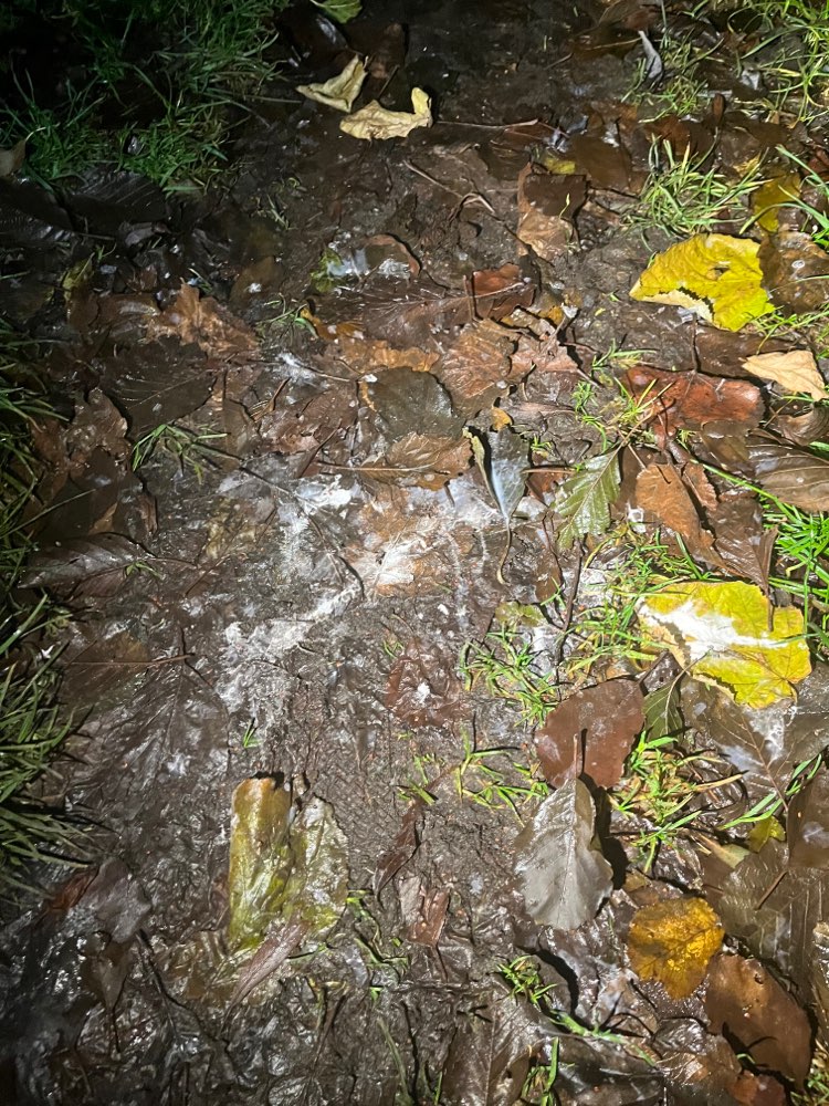 Giftköder-Komische weiße Substanz-Profilbild