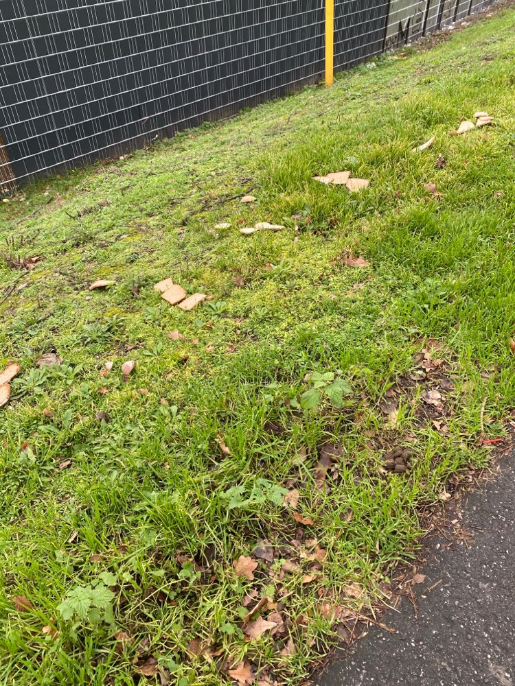 Giftköder-Brotscheiben-Profilbild