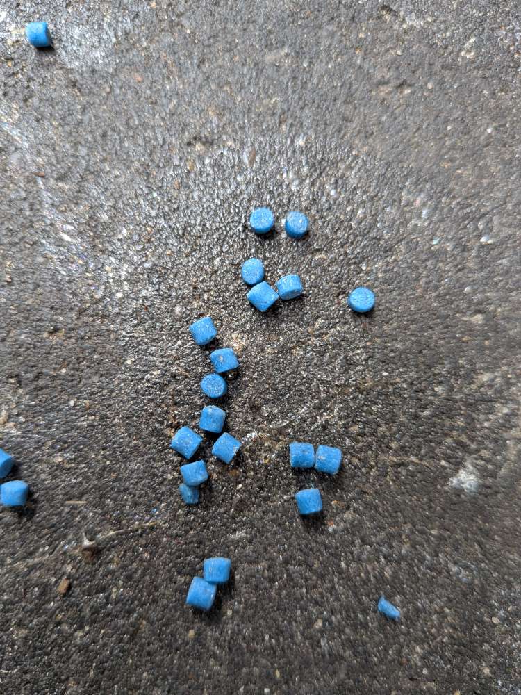 Giftköder-Schneckenkorn Hotel Wittorf-Profilbild