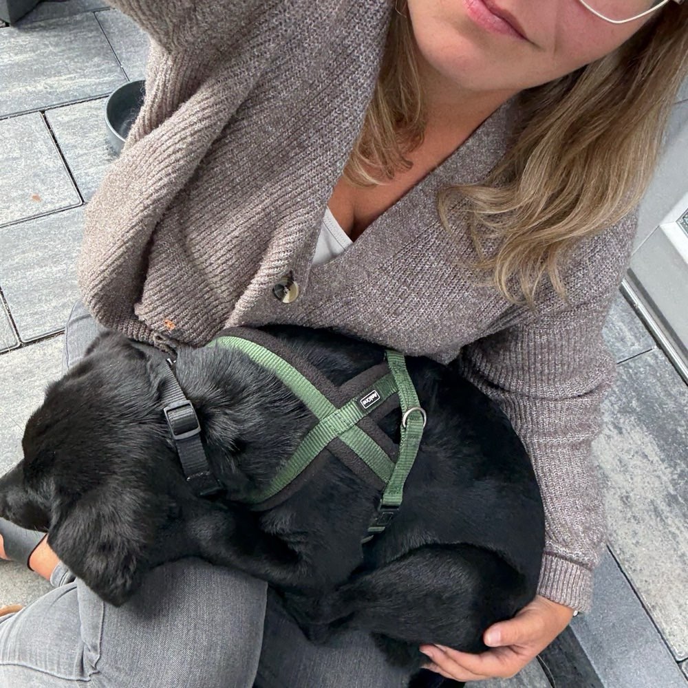 Hundetreffen-Welpentreff / Spielrunde etc-Profilbild