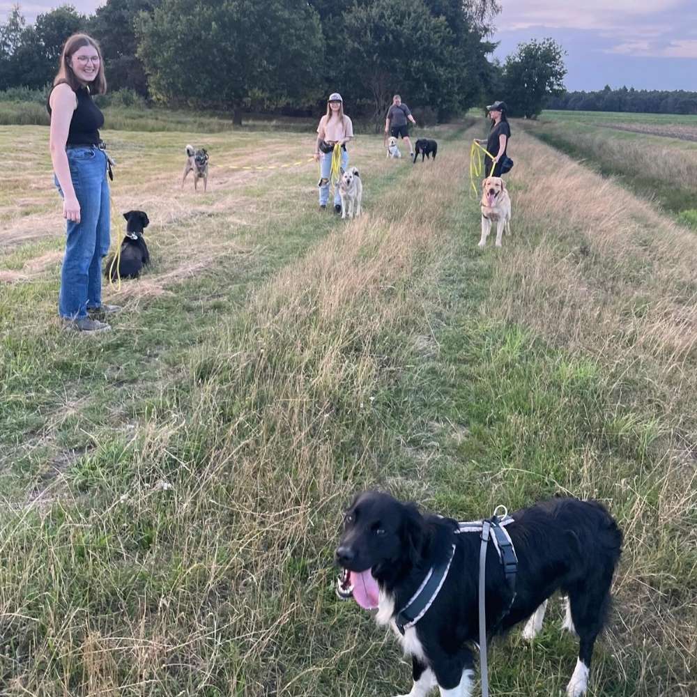 Hundetreffen-Social walk 🐾-Profilbild