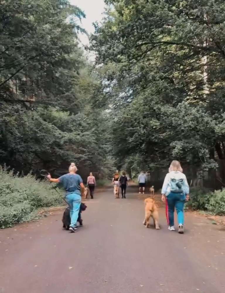 Hundetreffen-Gassi runde - Social Walk-Profilbild