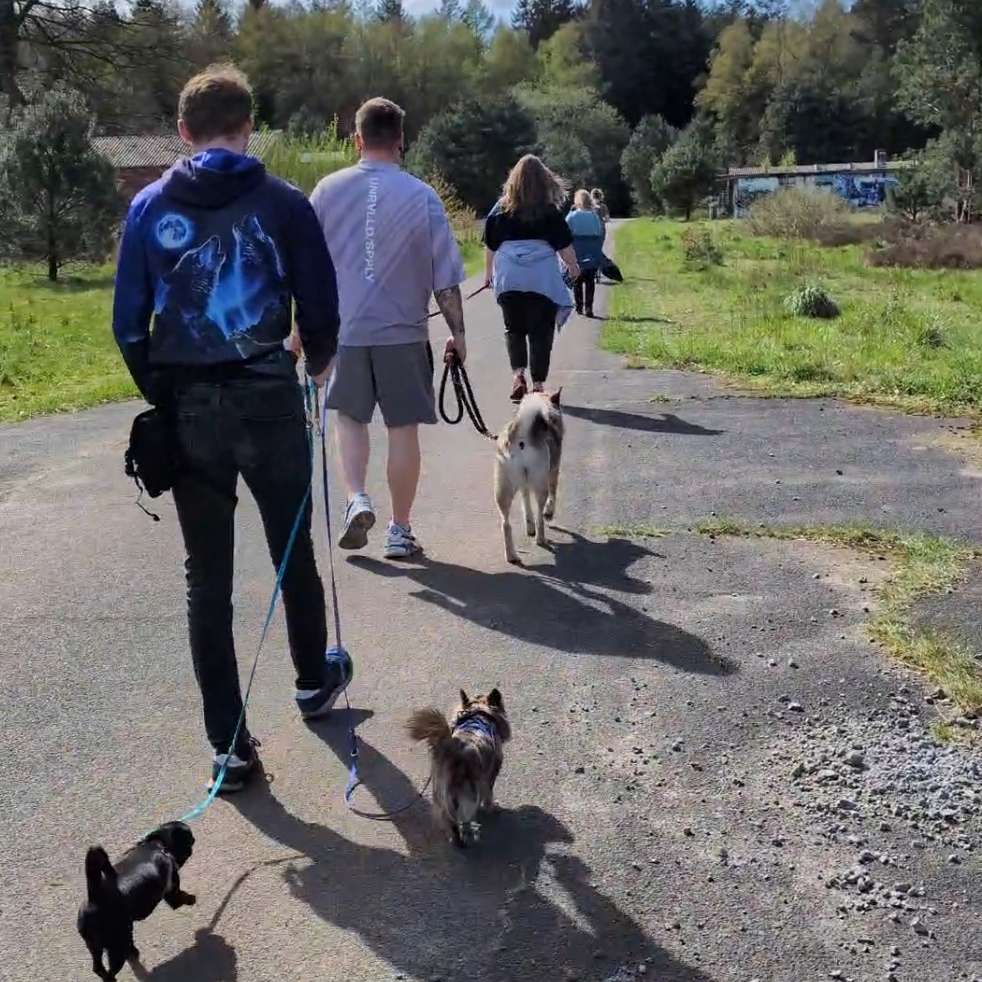 Hundetreffen-Social Walks & Wanderungen🐾-Profilbild