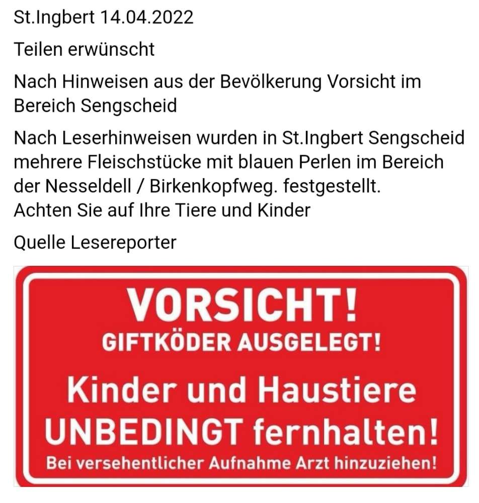 Giftköder-Giftköder, Fleischstücke-Profilbild