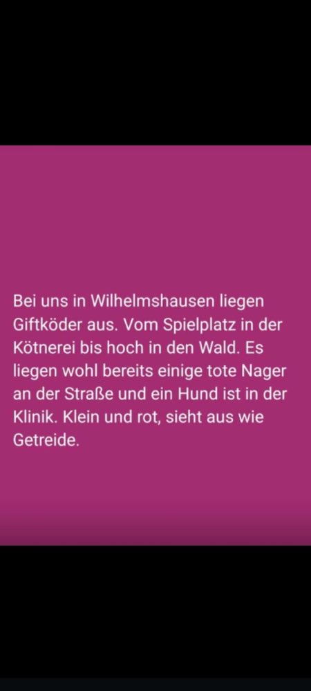 Giftköder-Rattengift-Profilbild