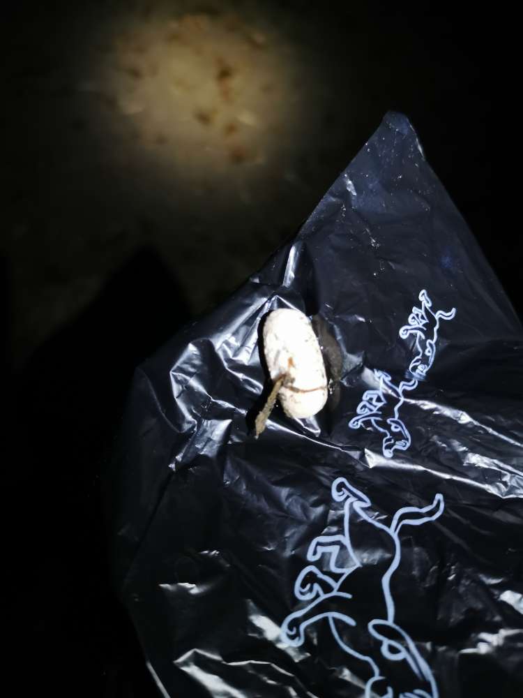 Giftköder-Achtung Giftköder!-Profilbild