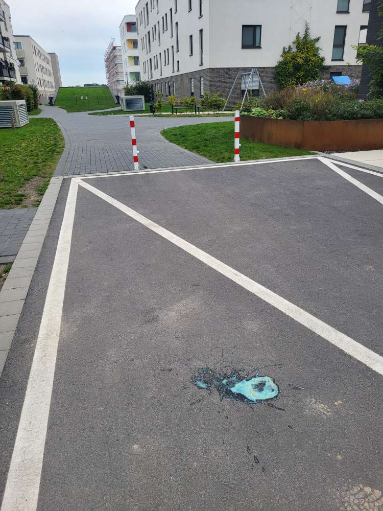 Giftköder-Blaues Erbrochenes, evtl Gift-Profilbild