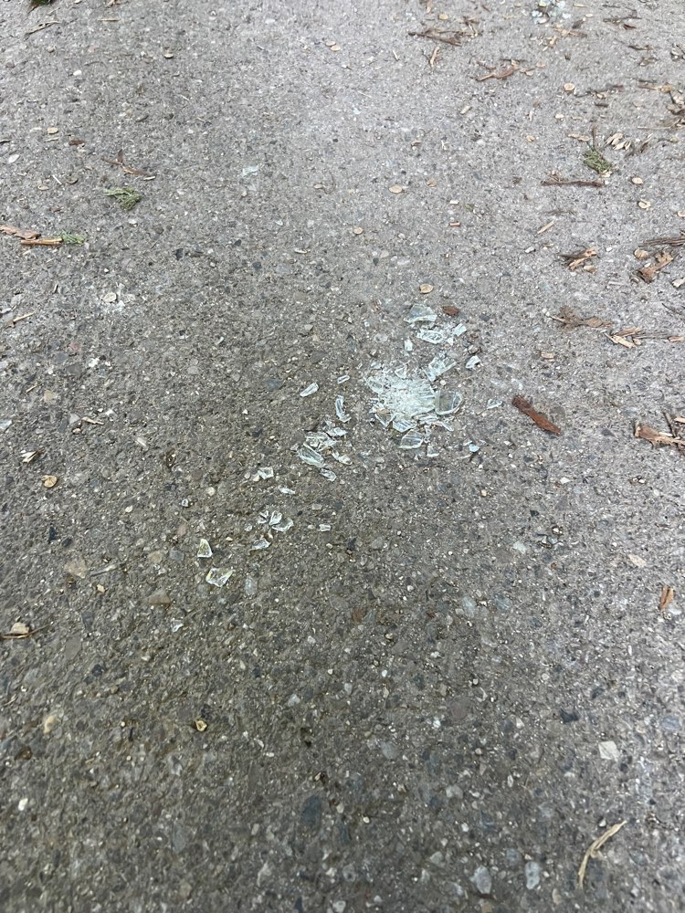 Giftköder-Scherben-Profilbild