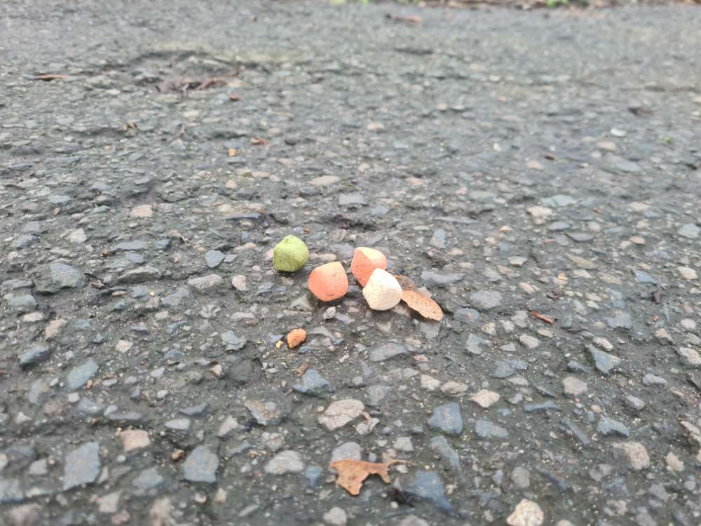 Giftköder-Ausgelegte Leckerlies,ausTascheverloren?-Profilbild