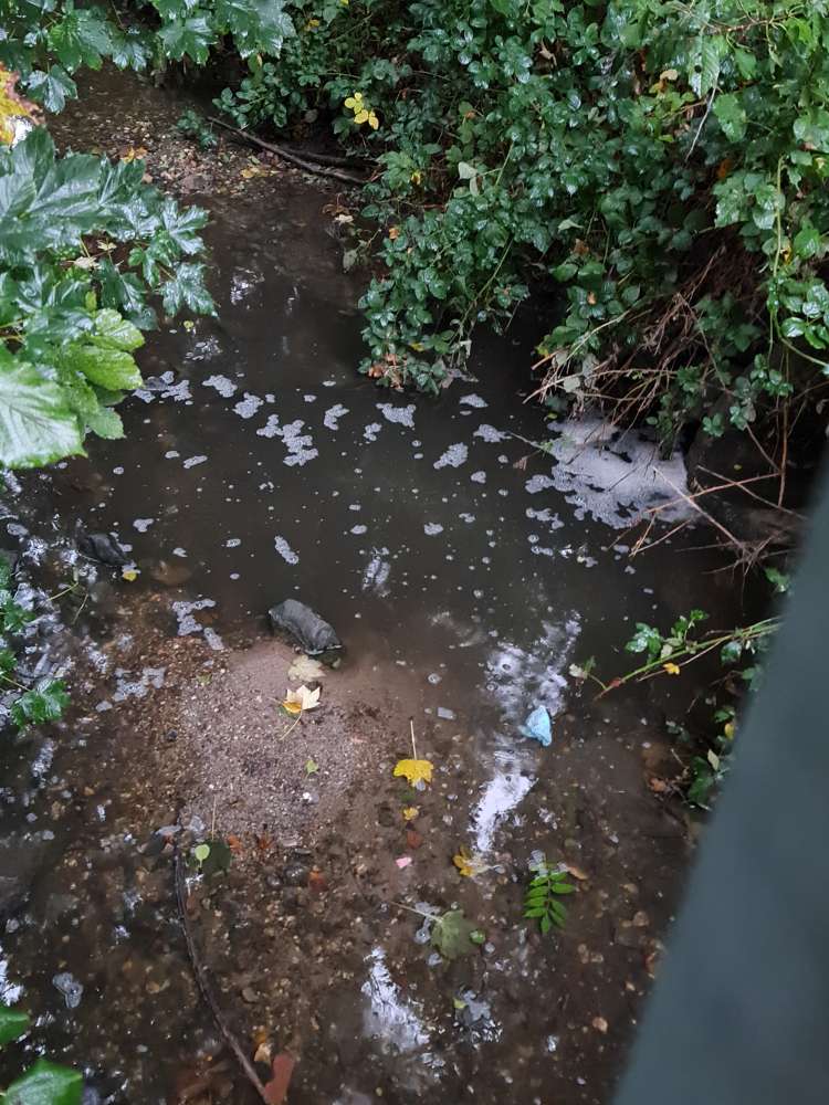 Giftköder-Weißer Schaum im Ellebach-Profilbild