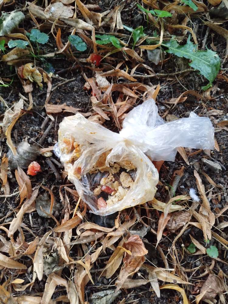 Giftköder-Giftköder?-Profilbild