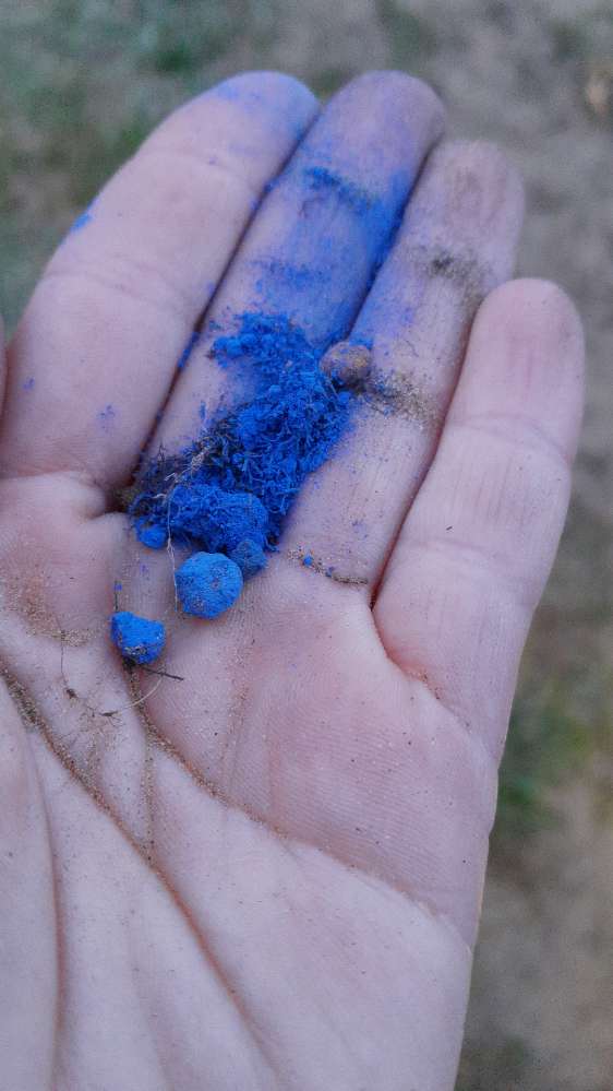 Giftköder-Achtung Rattengift-Profilbild