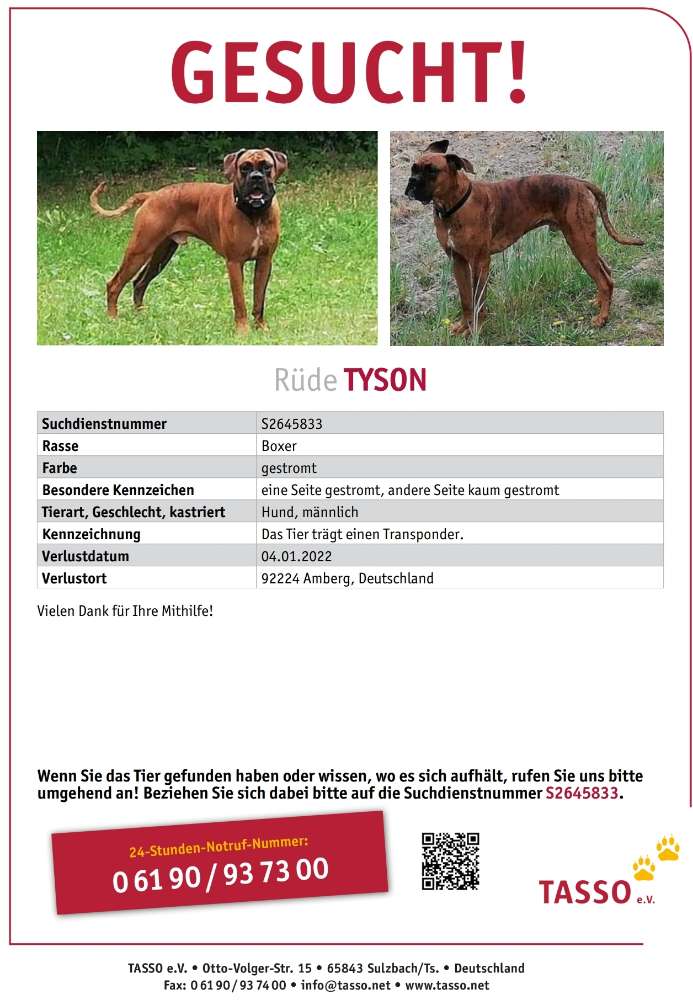 Suchmeldung-Tyson-Profilbild