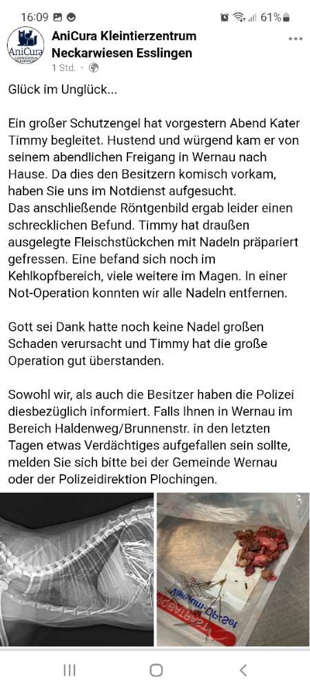 Giftköder-Radio Durchsage!!! ÜBERALL IN WERNAU-Profilbild