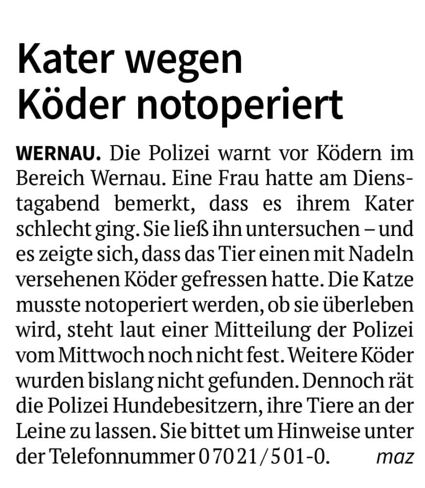 Giftköder-Köder mit Nadeln-Profilbild