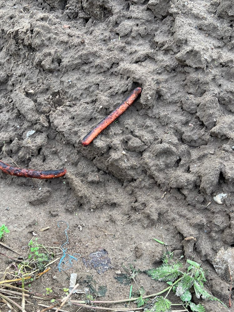Giftköder-Würstchen-Profilbild