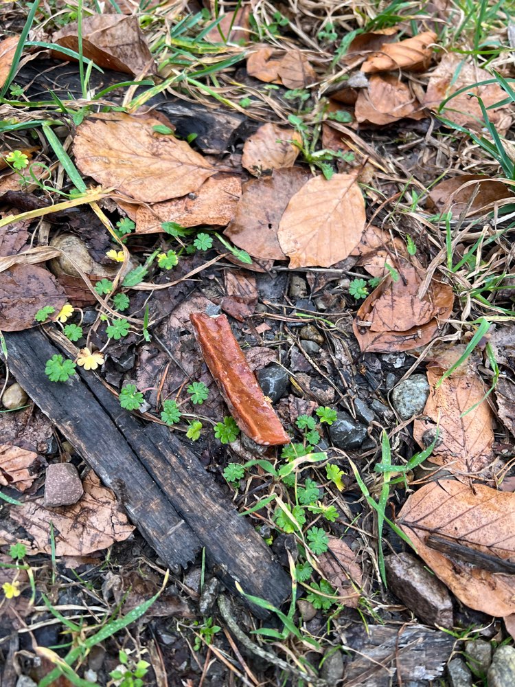 Giftköder-Wurst-Profilbild