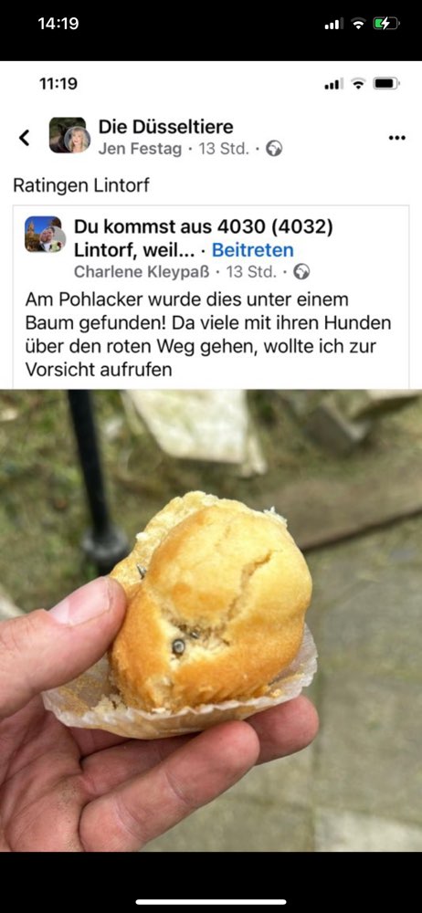 Giftköder-Nägel in Cupcakes-Profilbild