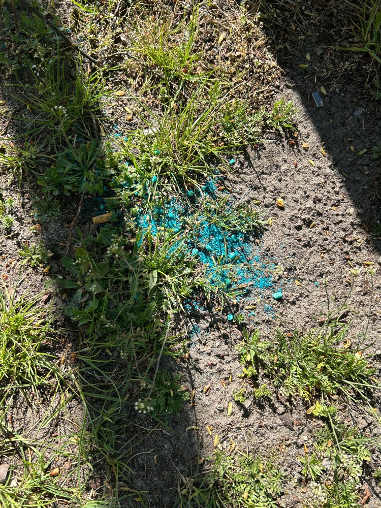 Giftköder-Rattengift oder Ähnliches-Profilbild