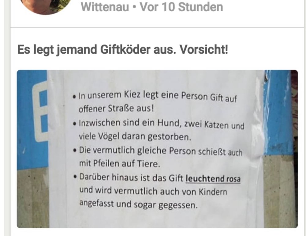 Giftköder-Giftköder-Profilbild