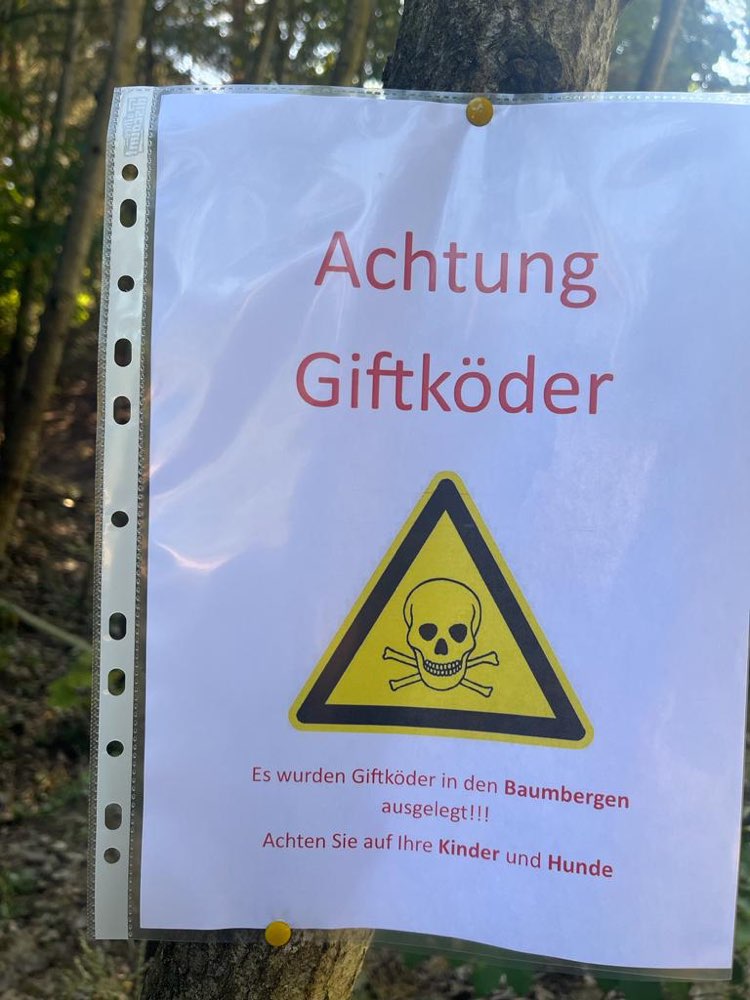 Giftköder-Giftköder-Profilbild