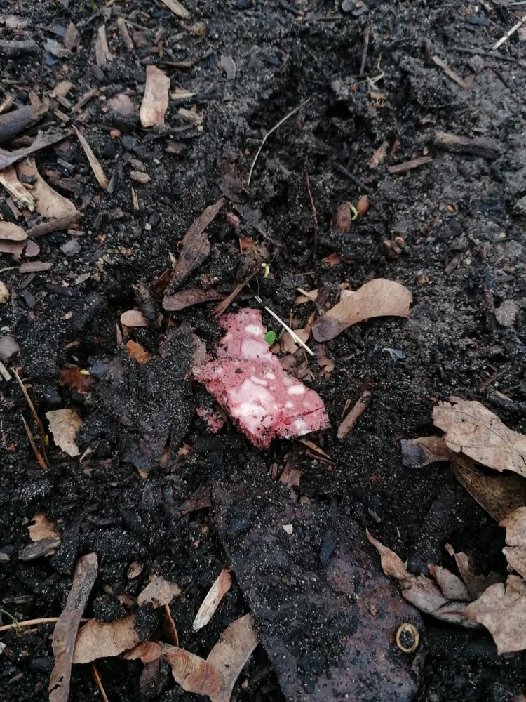 Giftköder-Wahrscheinlich Giftköder (Wurst)-Profilbild