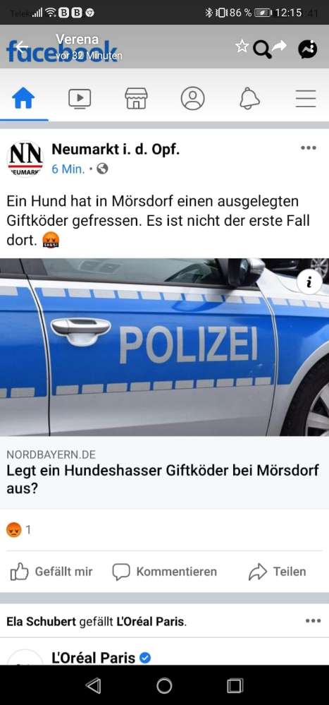 Giftköder-Giftköder mit Rattengift in Mörsdorf-Profilbild