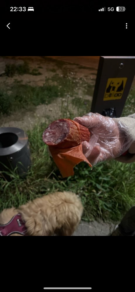 Giftköder-Vermutlich ein Giftköder! Vorsicht!-Profilbild