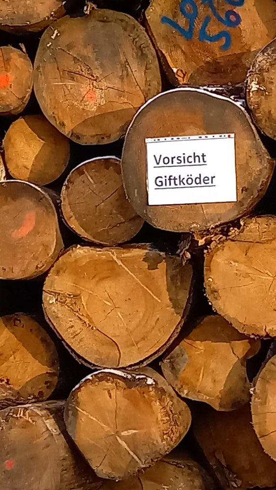 Giftköder-Giftköder-Profilbild