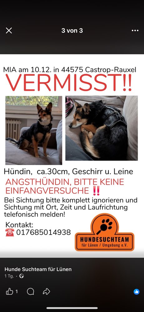 Suchmeldung-Mia-Profilbild