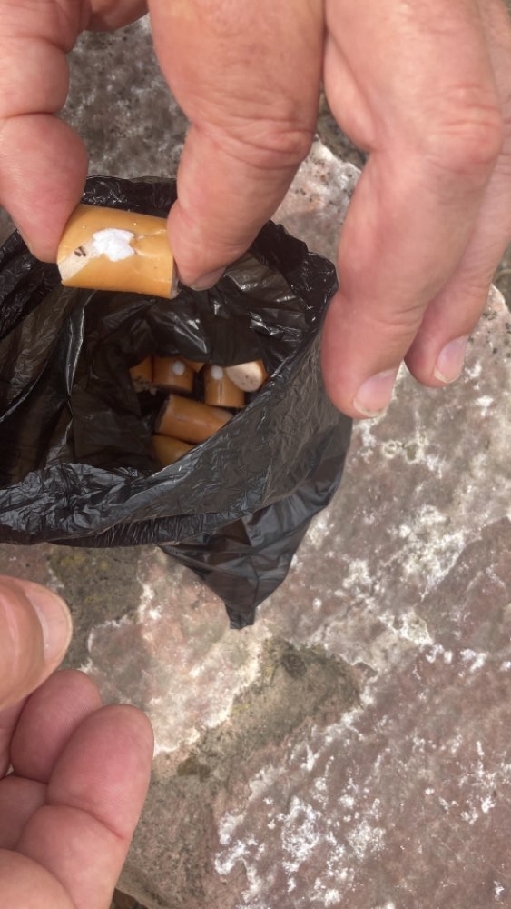 Giftköder-Giftköder-Profilbild