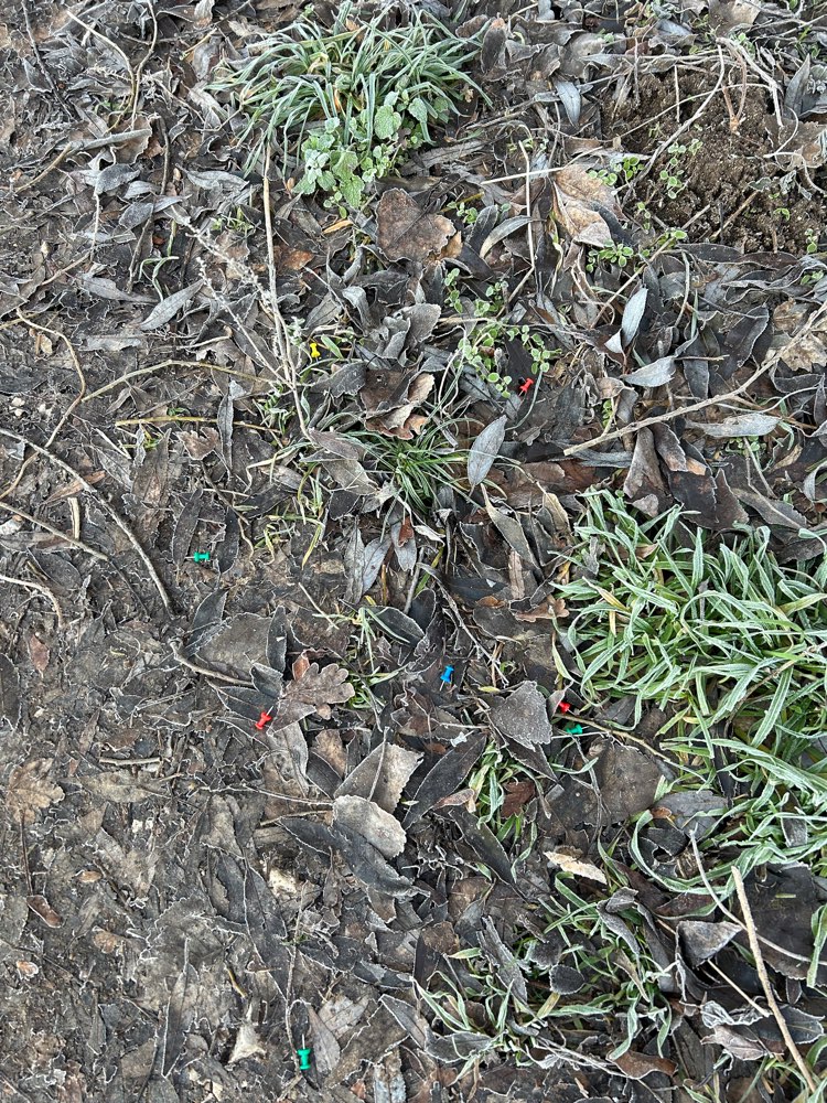 Giftköder-Stecknadeln auf der Hundewiese-Profilbild