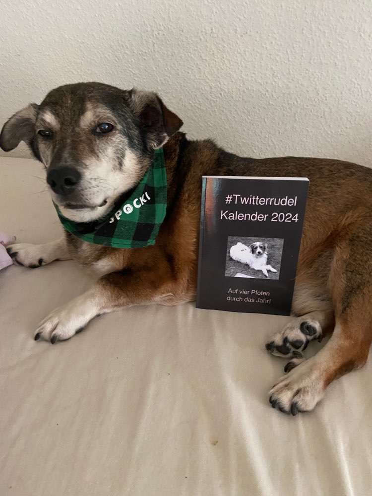 Hundetreffen-Seniorentreff-Profilbild