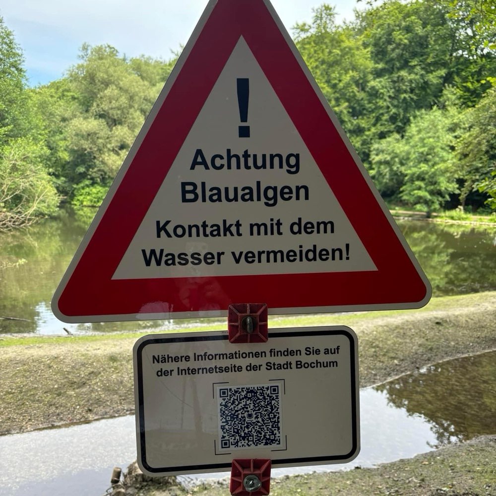 Giftköder-Blaualgen-Profilbild