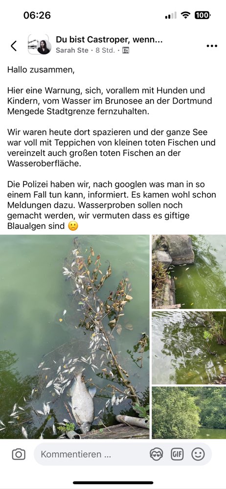 Giftköder-Mehrere tote Fische im Brunosee-Profilbild
