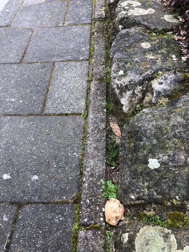 Giftköder-Achtung Giftköder-Profilbild