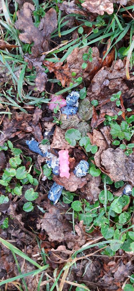 Giftköder-Komische rosa Masse!-Profilbild