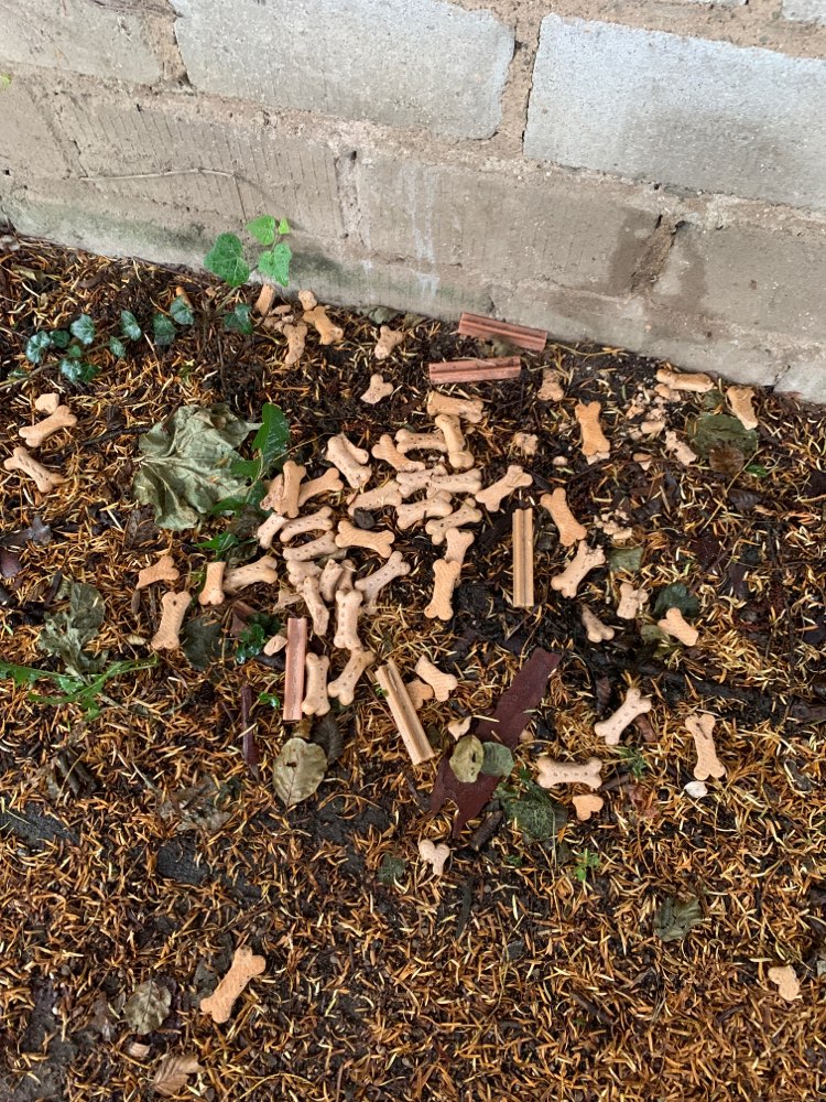 Giftköder-Giftköder??-Profilbild