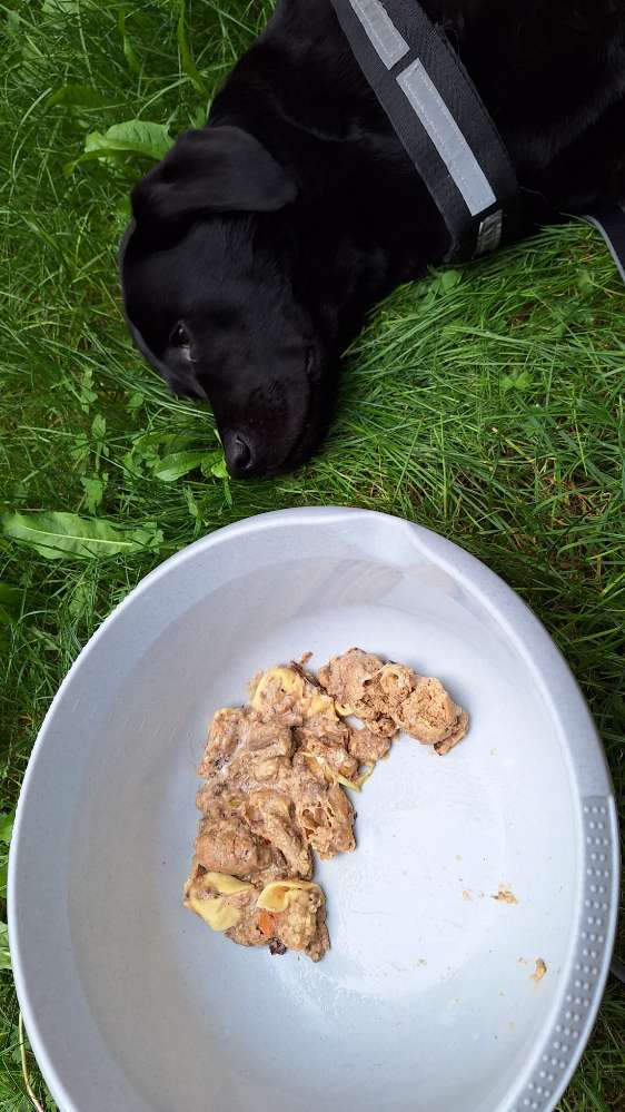 Giftköder-Möglicher Giftköder-Profilbild