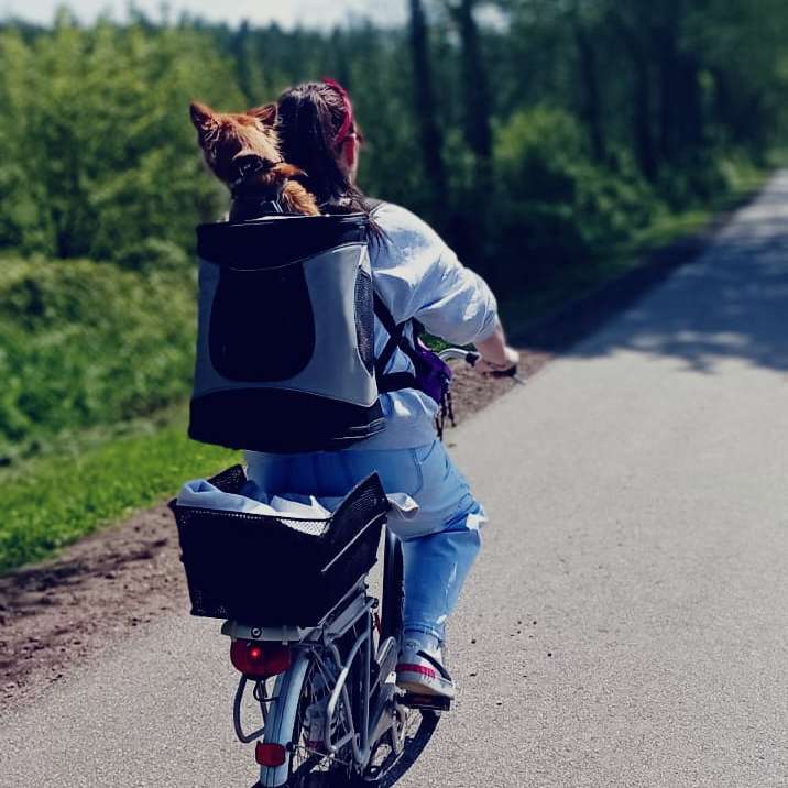 Hundetreffen-Social Walks-Profilbild