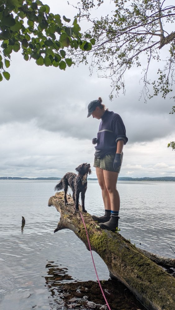 Hundetreffen-Netter Hundekontakt/Social Walk gesucht-Profilbild
