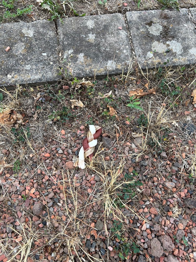 Giftköder-Gefahrenmeldung-Profilbild