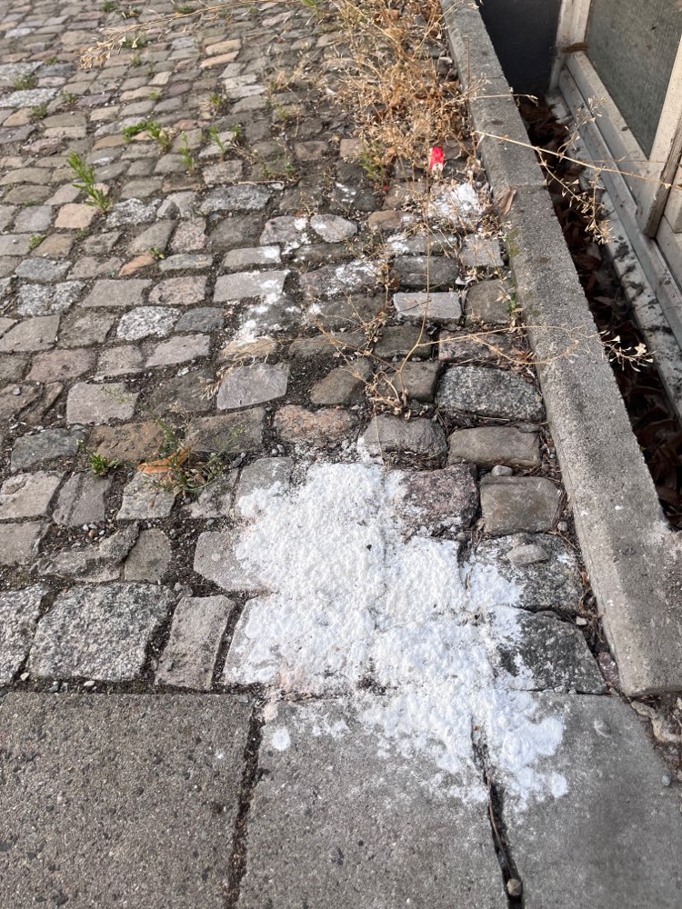 Giftköder-Weißes Pulver auf Gehweg-Profilbild