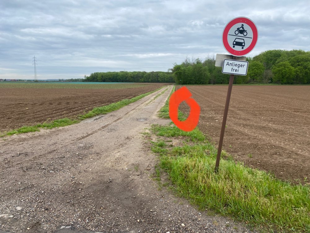 Giftköder-Toter Hase / Hasenpest-Profilbild