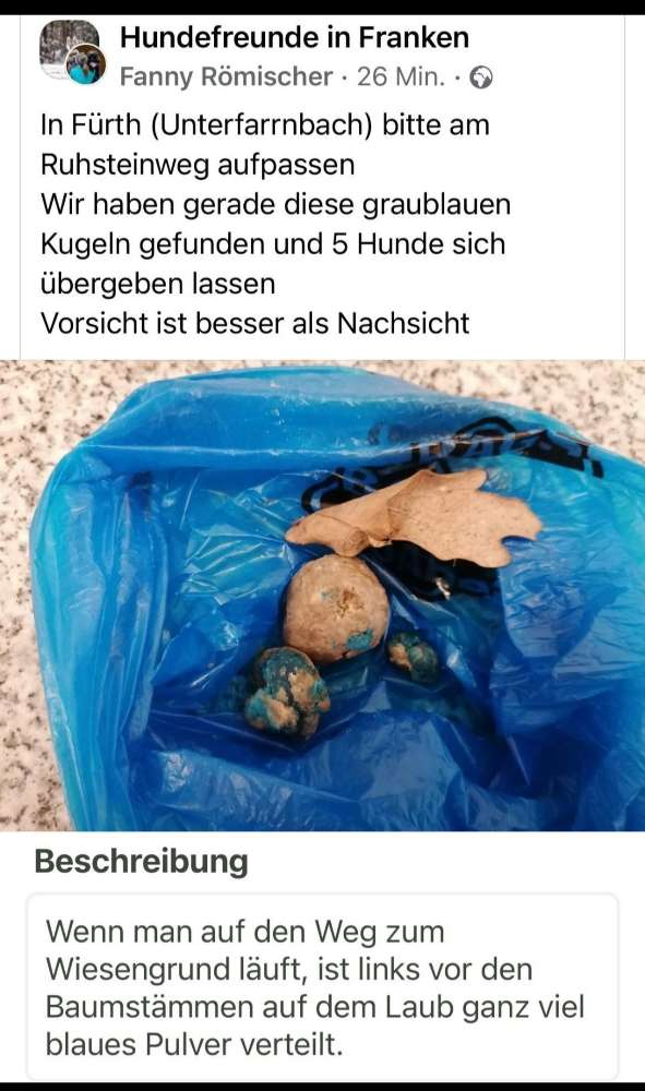 Giftköder-Blaues Pulver (evtl. Giftköder)-Profilbild