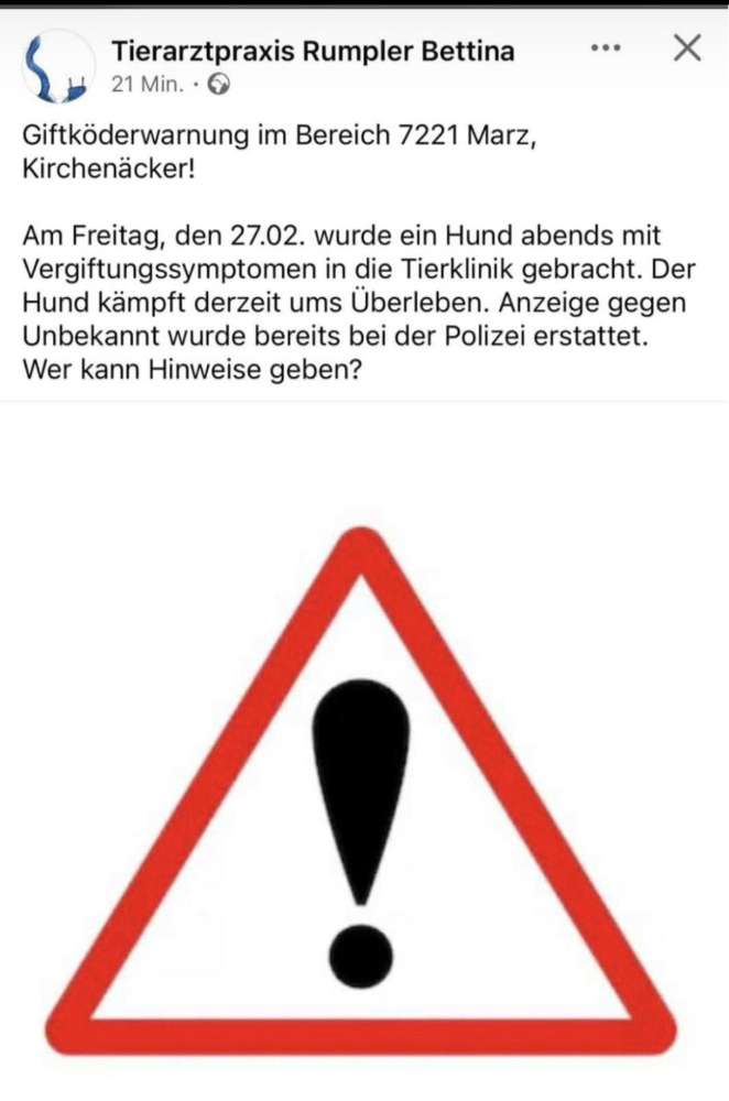 Giftköder-Giftköder-Profilbild