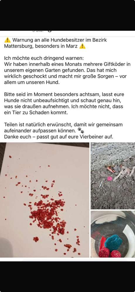 Giftköder-Giftköder-Profilbild