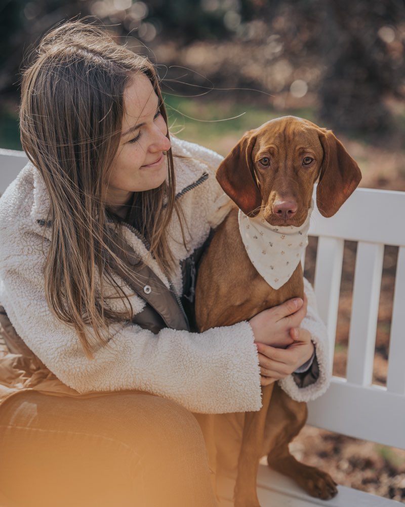 Hundetreffen-Hundekontakte / gemeinsam Spazieren-Profilbild